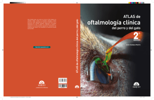Atlas oftalmologia 2ED-CM