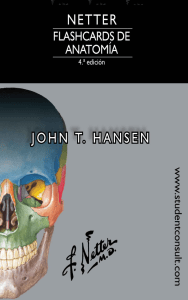 Netter. Flashcards de Anatomía - John T. Hansen 4a Ed.
