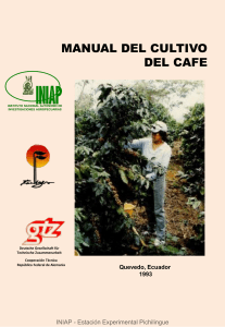 Manual del cultivo de cafe