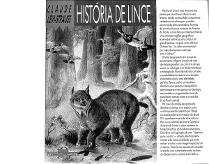 407073529-Historia-de-Lince-pdf