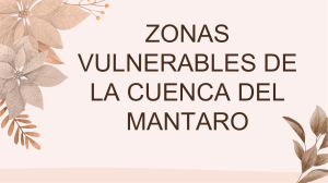 ZONAS VULNERABLES DE LA CUENCA DEL MANTARO