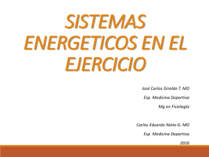 1.-SISTEMAS-ENERGETICOS-EN-EL-EJERCICIO-JCGT-CENG