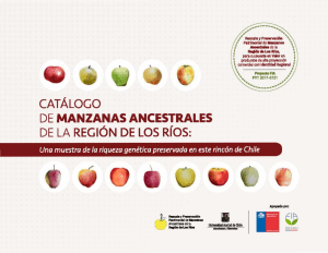 Catalogo de Manzanas Ancestrales de la Region de Los Rios