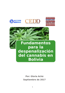 Fundamentos para la despenalización Cannabis Bolivia