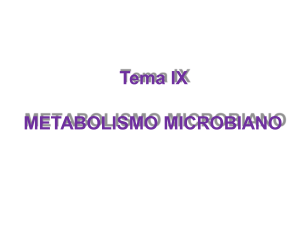 FB-9-Metabolismo-18