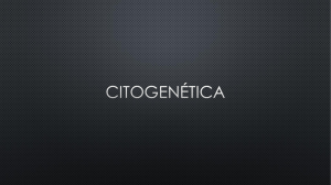 genetica Citogenética