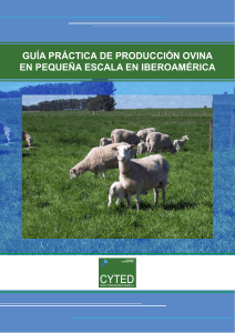 Guia practica de produccion ovina en pequeña escala en iberoamerica