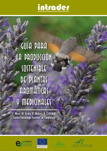 GUIA Producción Aromáticas y Medicinales