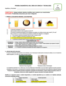 pdf-manual-de-correccion-de-evaluacion-diagnostica-cta-1 compress