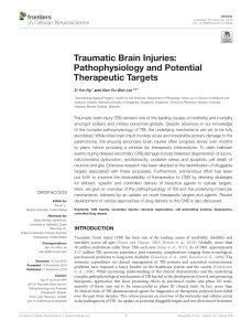 Traumatic Brain Injuries: Pathophysiology and Potential Therapeutic Targets
