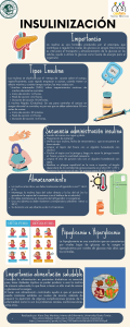 Infografia Insulinoterapia