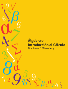 Algebra e Introduccion al Calculo