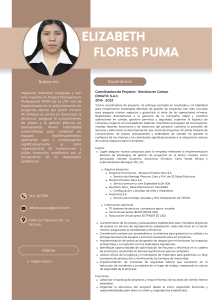 CV Elizabeth Flores-Puma.