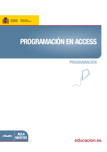 Manual programacion access