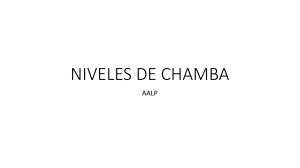 NIVELES DE CHAMBA