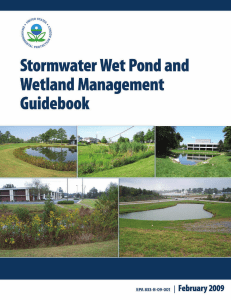 STORMWATER WET POND AND WETLAND