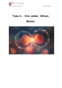 Tema-6-El-ciclo-celular compressed
