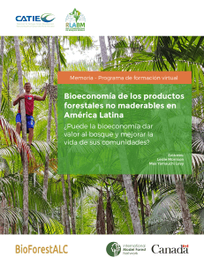Bioeconomia-Productos-Forestales-LMorrison
