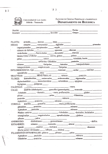 hoja de descripción 