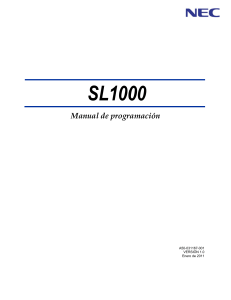 SL1000 Programming Manual Espanol