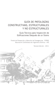 Guia patologias constructivas estructurales no estructurales