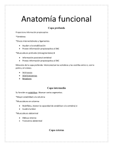 Anatomía funcional (1)