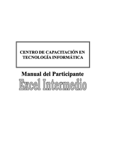 manual de excel intermedio