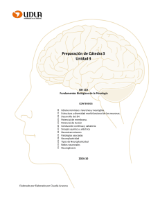 Preparación Cátedra Unidad 3 2024