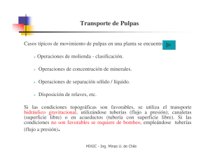 Transporte de Pulpas