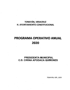 Programa Operativo Anual del Municipio TONAYAN POA