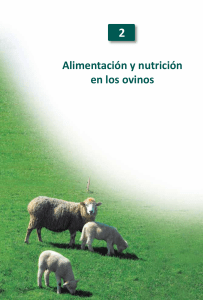 Libro Alimentación y nutrición en los ovinos