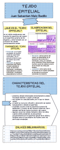 Infografía Datos Salud Asma Ilustrado Azul y Amarillo