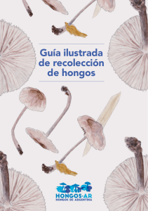 Guia ilustrada de recoleccion de hongos - HongosAR