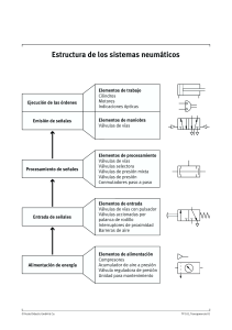 Neumatica transparencia