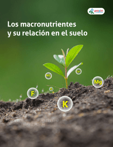 Los macronutrientes y su relación en el suelo