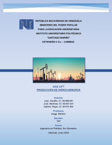 Informe Gas Lift