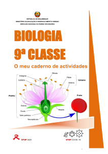 9a classe Biologia
