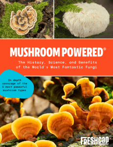 Mushroom Powered v1