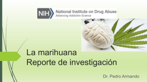 La-marihuana-–-Reporte-de-investigación-2020