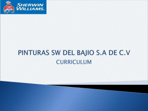 CURRICULUM PINTURAS  SW DEL BAJIO