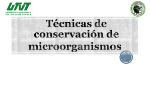 conservación de microorganismo