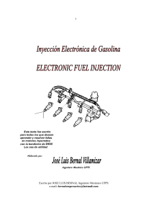 Electronic+Fuel+Injection