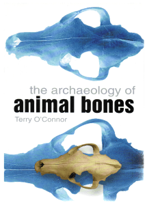 52.the archaeology of animal bones