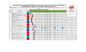 Cronograma-Sgsst-2013-Envi