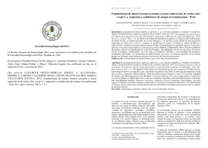 Entomofauna de interés forense asociada a restos cadavéricos de cerdos (Sus 2015 REVISTA ENTOMOLOGICA PERU LAMBAYEQUE