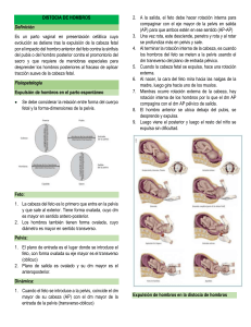 Distocia de Hombros: Definición, Fisiopatología y Manejo