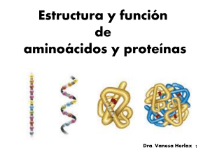 Estructura y función de aminoácidos y proteínas 2021