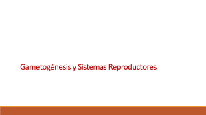 Gametogénesis y Sistemas Reproductores