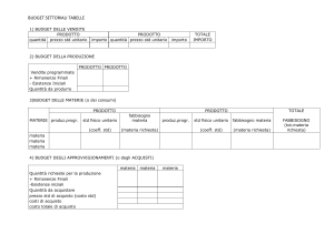 budget settoriali
