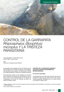 Control de Garrapata y Tristeza Parasitaria en Producción Animal